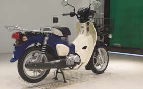 HONDA C110 SUPER CUB JA61