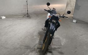 YAMAHA WR250X DG15J