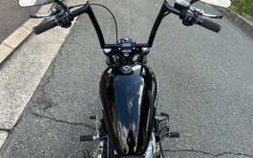 HARLEY FXBRS 2019 YHK
