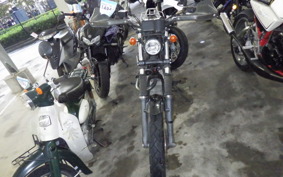 YAMAHA TRICKER DG10J