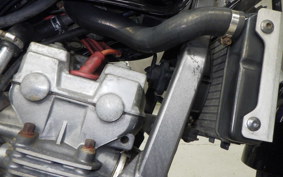 HONDA HORNET 250 2015 MC31