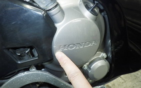 HONDA CRF250 RALLY A 2023 MD44