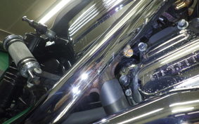 HARLEY FXDL 1580 2011