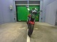 Фото Honda HORNET 250 2005 с японского аукциона