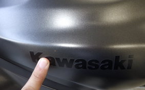 KAWASAKI ZX-25R 1986 ZX250E