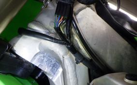 KAWASAKI KX250 2019 KX252E