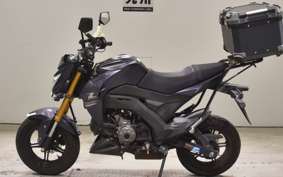 KAWASAKI Z125 PRO 2024 BR125H