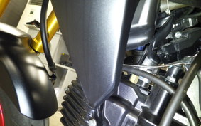 KAWASAKI Z125 PRO 2000 BR125H