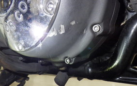 HARLEY XL883N 2015