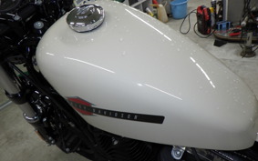 HARLEY XL1200X 2022