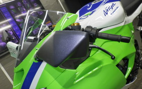 KAWASAKI NINJA ZX-6R A 2025 ZX636J