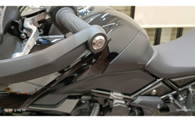 TRIUMPH TIGER SPORT 660 2024 LGL20U