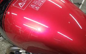 TRIUMPH SPEED TWIN 900 2024