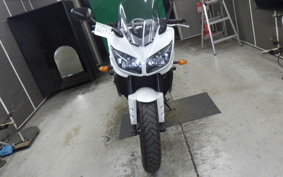 YAMAHA FZ1 FAZER 2010 RN21J