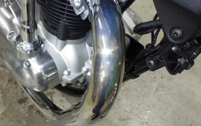 KAWASAKI W800 2023 EJ800E