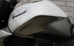 KAWASAKI Z1000 2009 ZRT00B