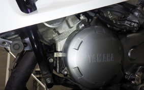 YAMAHA TZR250 2010 1KT