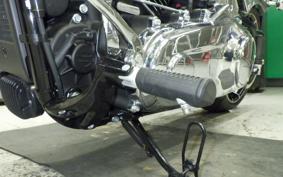 HARLEY FXBR1920 2024