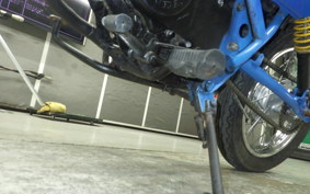 HONDA RACOON