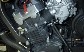 HONDA HORNET 250 2024 MC31