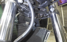 HONDA HORNET 250 2011 MC31