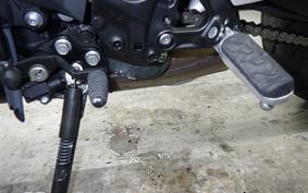 YAMAHA XSR900 GP 2025 RN96J