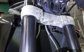 TRIUMPH STREET TRIPLE R 2014