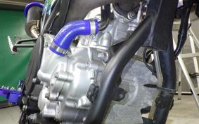 YAMAHA WR250X 1986 DG15J