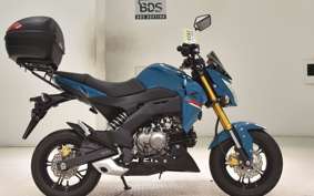 KAWASAKI Z125 PRO 2015 BR125H