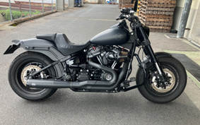 HARLEY FXFBS 2019 YLK