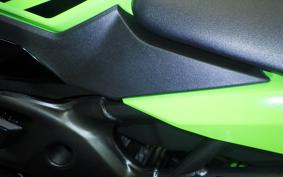 KAWASAKI ZX-4RR 2024 ZX400P