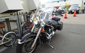 HARLEY FLSTC 2003 BJY