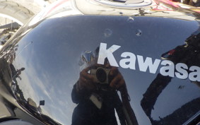 KAWASAKI NINJA 250R EX250K