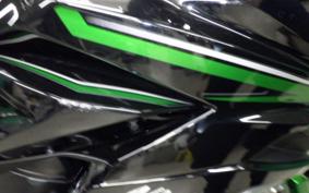 KAWASAKI NINJA 1000SX 2024 ZXT02K