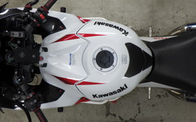 KAWASAKI ZX 1400 NINJA R A 2020