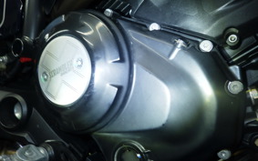 DUCATI SCRAMBLER 2024