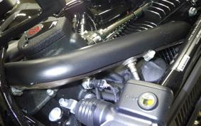 HARLEY FXLRST1920 2026