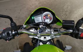 TRIUMPH STREET TRIPLE 2009 TMD406