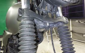 OTHER MUTT250