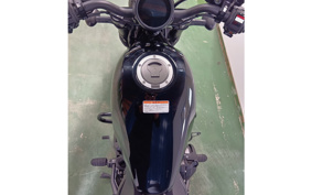 KTM 690 DUKE 2017 LDV40