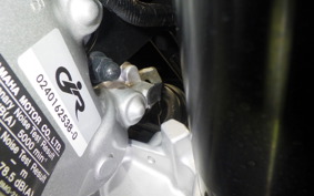 YAMAHA XSR900 GP 2024 RN96J