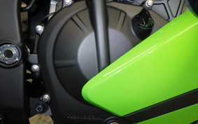KAWASAKI ZX-4RR 2026 ZX400P