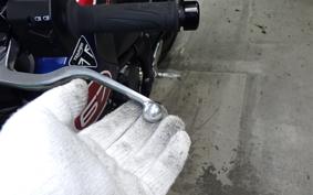 TRIUMPH TRIDENT 660 2024