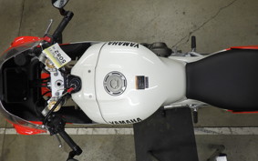 YAMAHA XSR900 GP 2024 RN96J