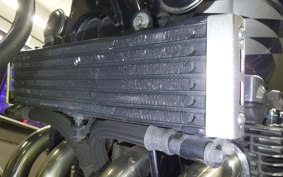 YAMAHA XJR1300 Gen.2 2007 RP17J