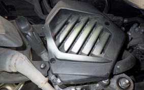 HONDA TACT Basket 2026 AF79