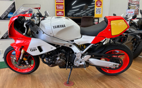 YAMAHA XSR900 GP 2024 RN96J