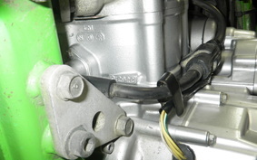KAWASAKI KLX250 LX250E