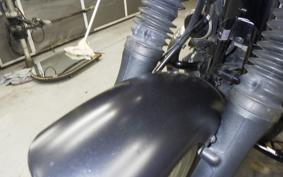 KAWASAKI W800 STREET 2019 EJ800B