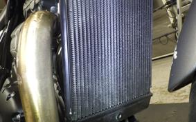 TRIUMPH SPEED 400 2026